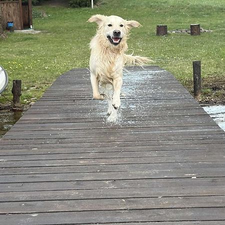 Agroturystyka Nad Czarnym Giby Bagian luar foto