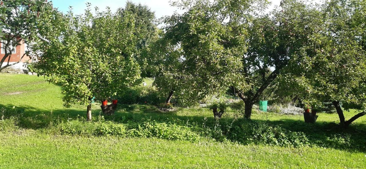 Agroturystyka Nad Czarnym Giby Bagian luar foto