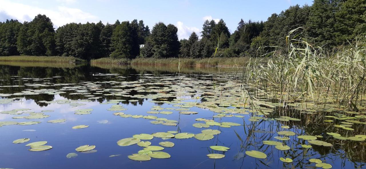 Agroturystyka Nad Czarnym Giby Bagian luar foto